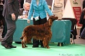 Crufts2011 419